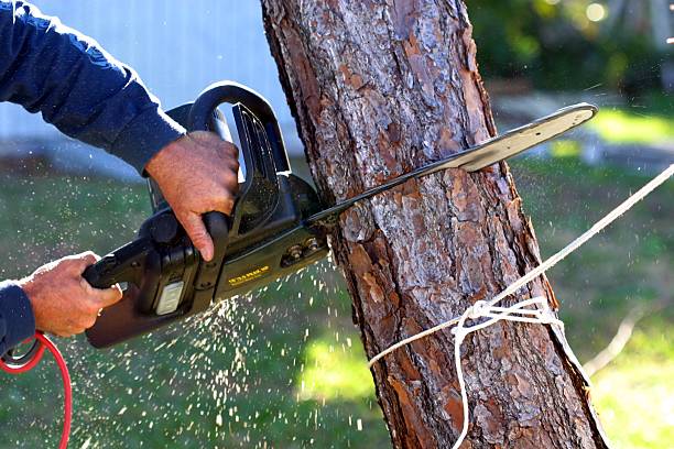 Lawn Irrigation Installation and Maintenance in Carroll Valley, PA